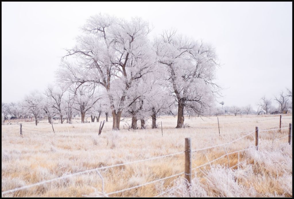 Frozen Enchantment II