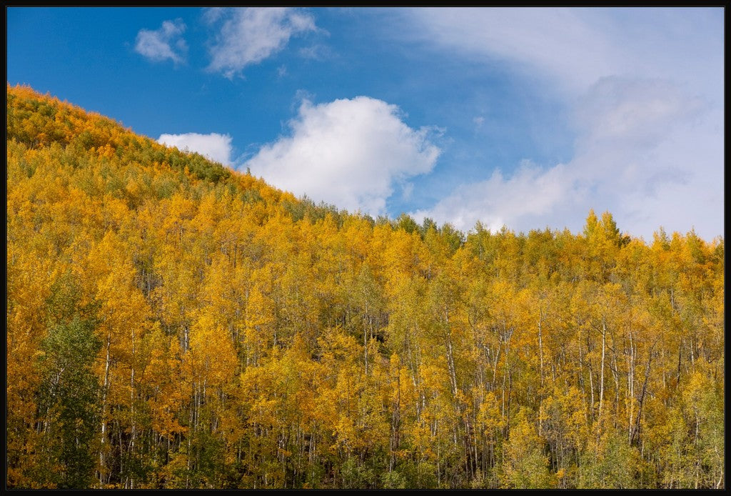 Golden Slopes