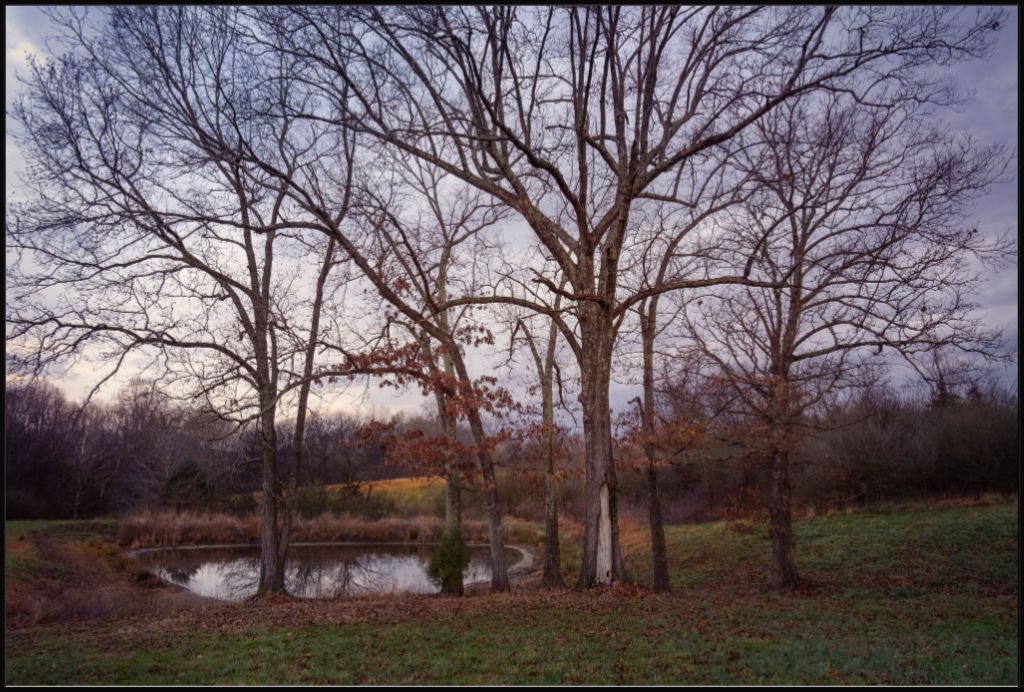 Peaceful TN Pond