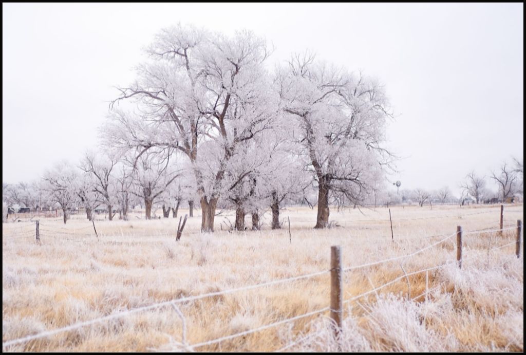Frozen Enchantment II