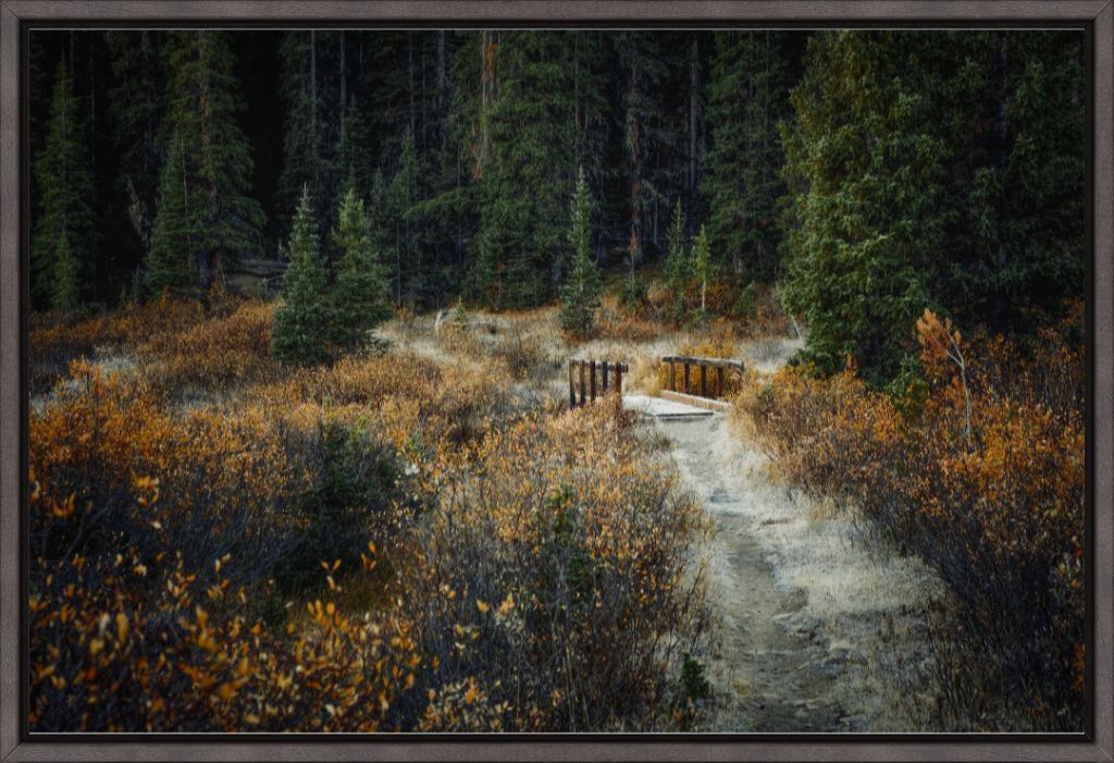 September Frost