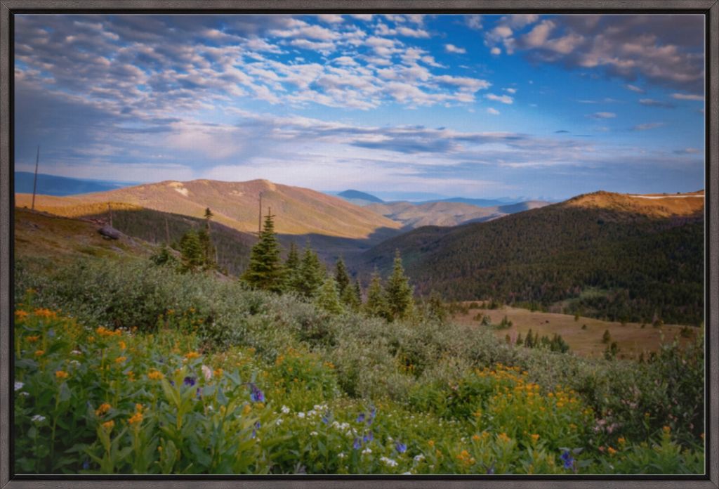 Wildflowers and Distant Valley