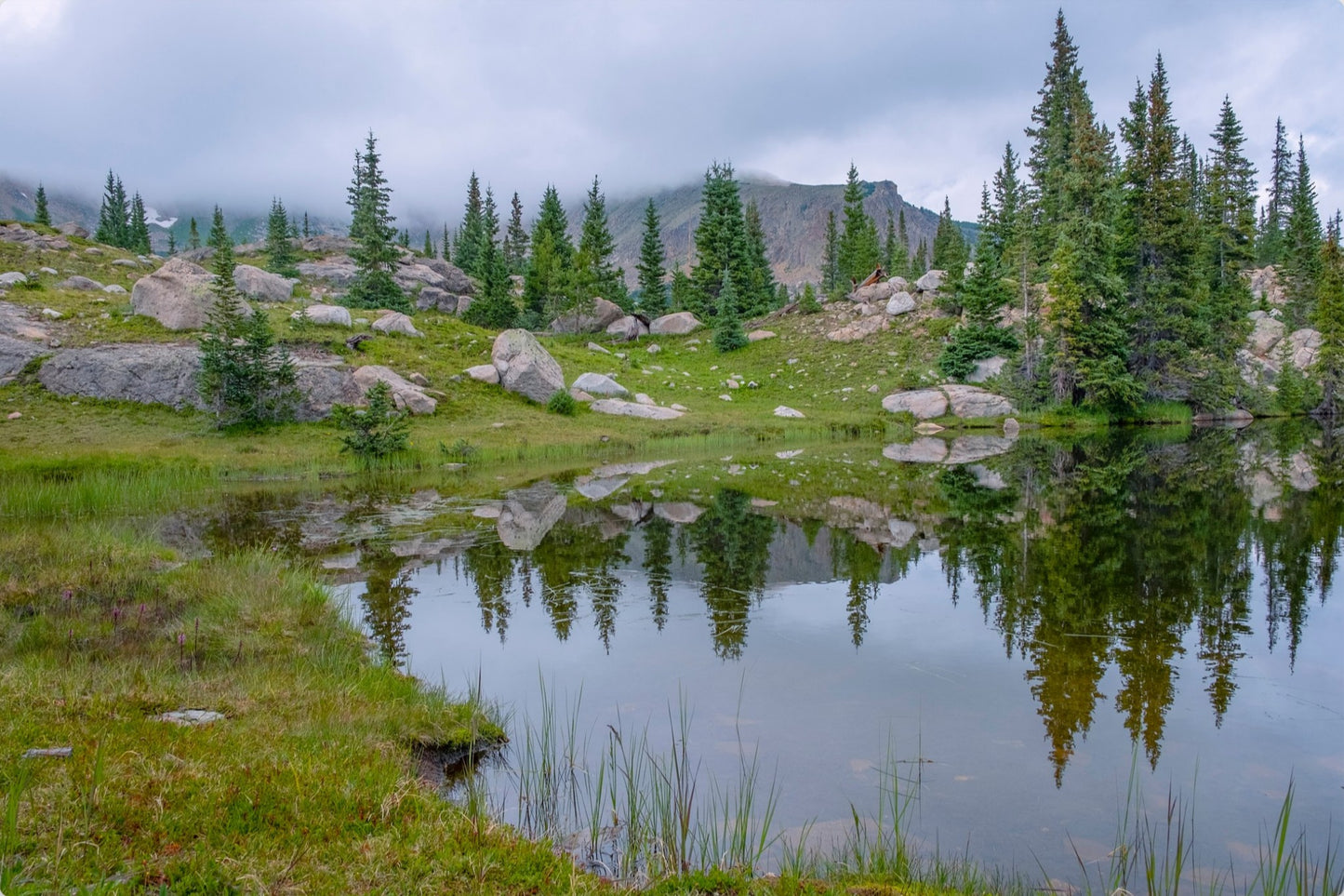 Trail Reflections