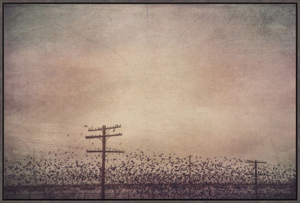 Winter Birds