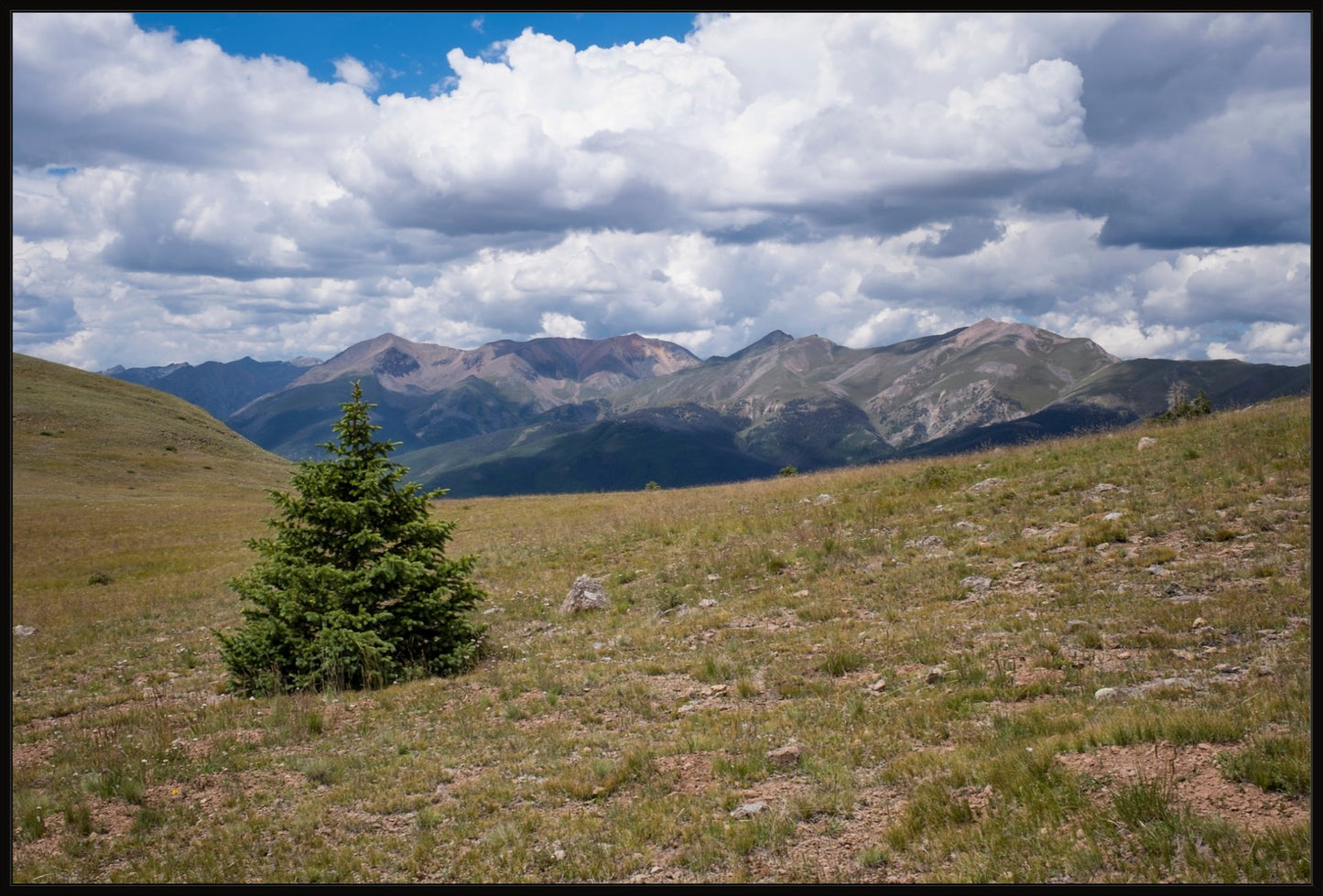 Evergreen Views