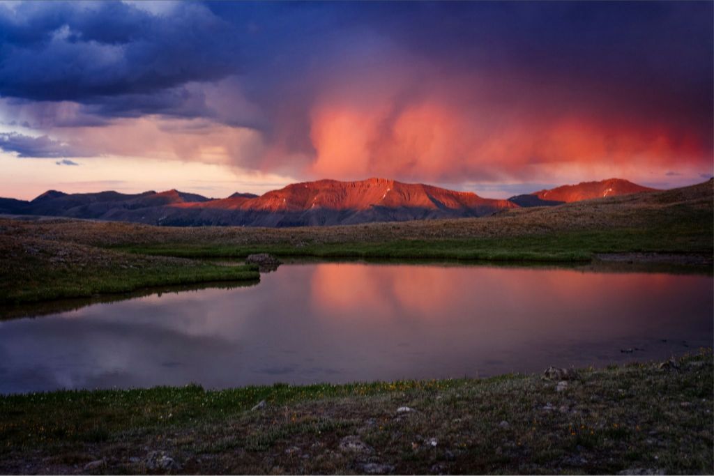 After the Hail Storm II