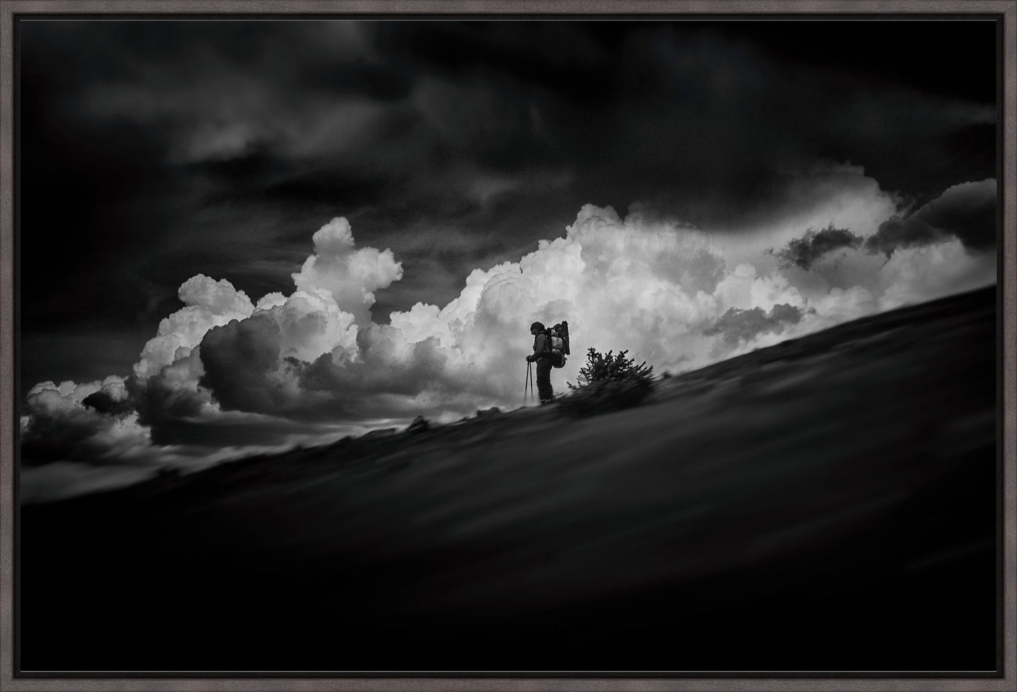 The Hiker