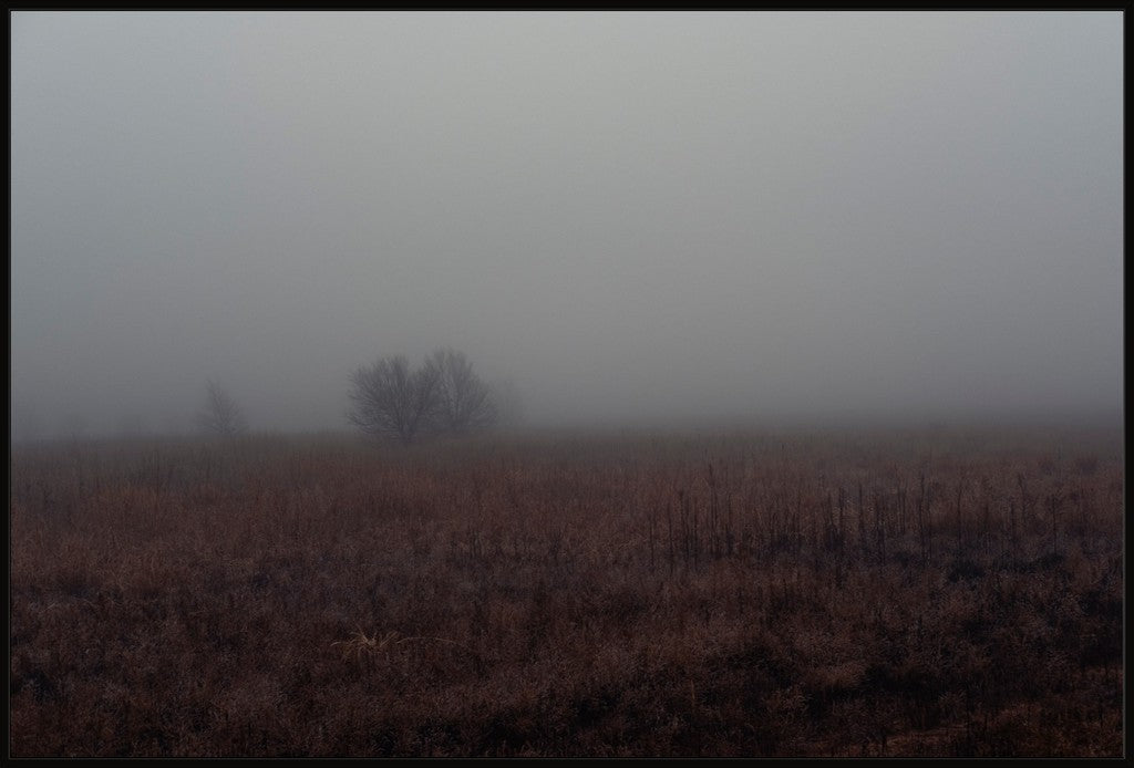 West Texas Winter Fog - 3