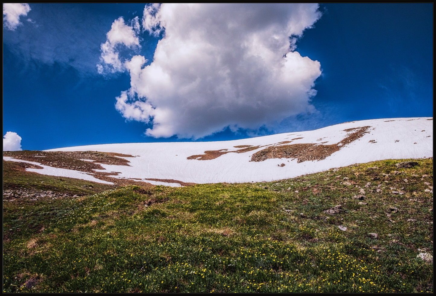 Summer Snow