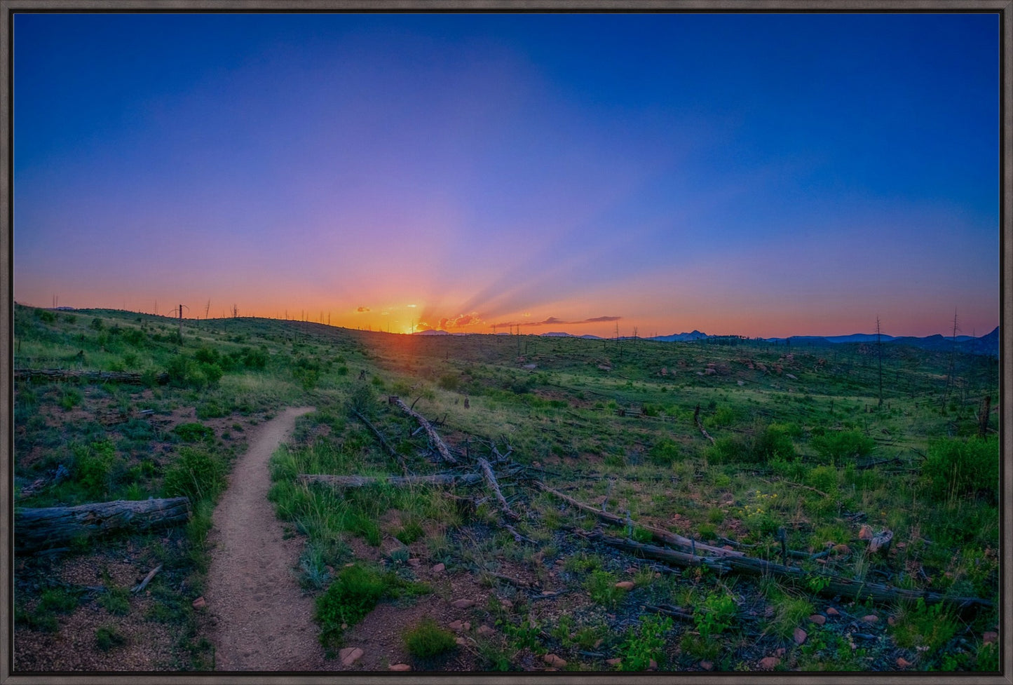 Burn Area Sunset