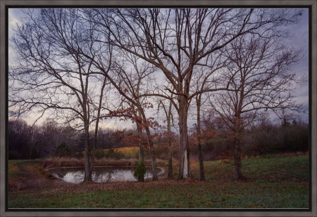 Peaceful TN Pond