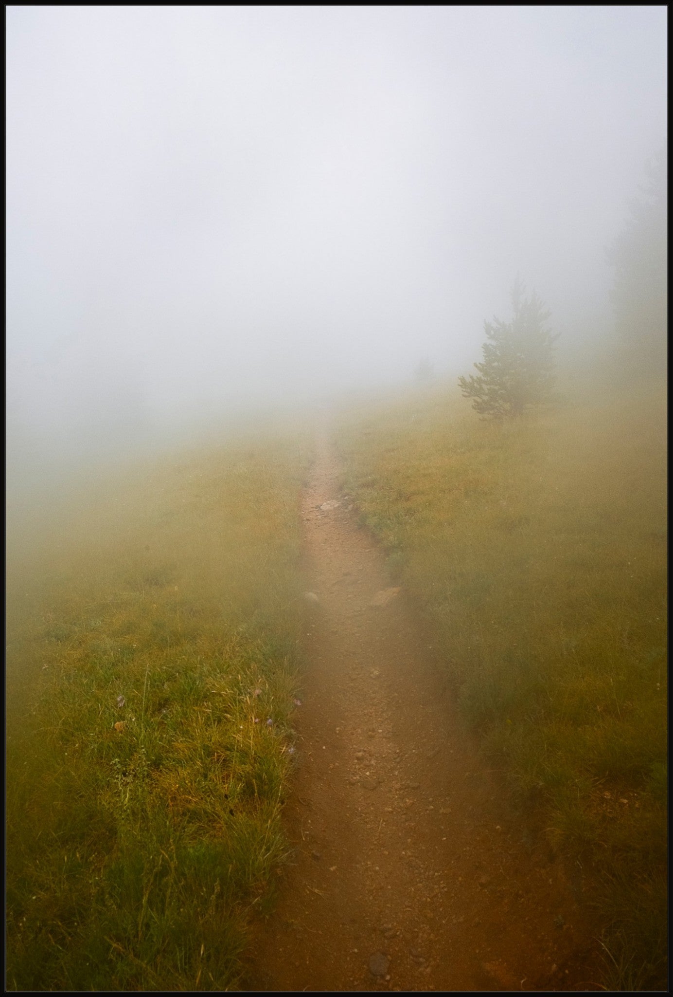 Late August Fog
