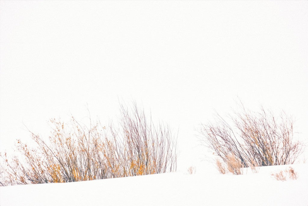 Fire & Snow