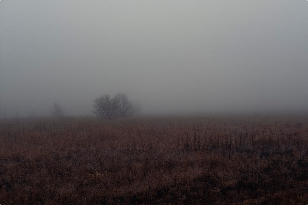 West Texas Winter Fog - 3
