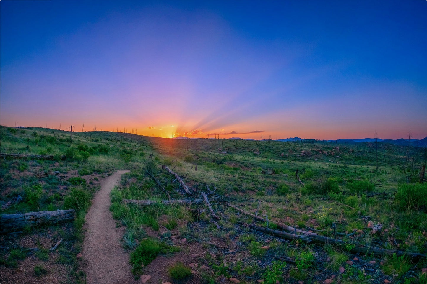 Burn Area Sunset