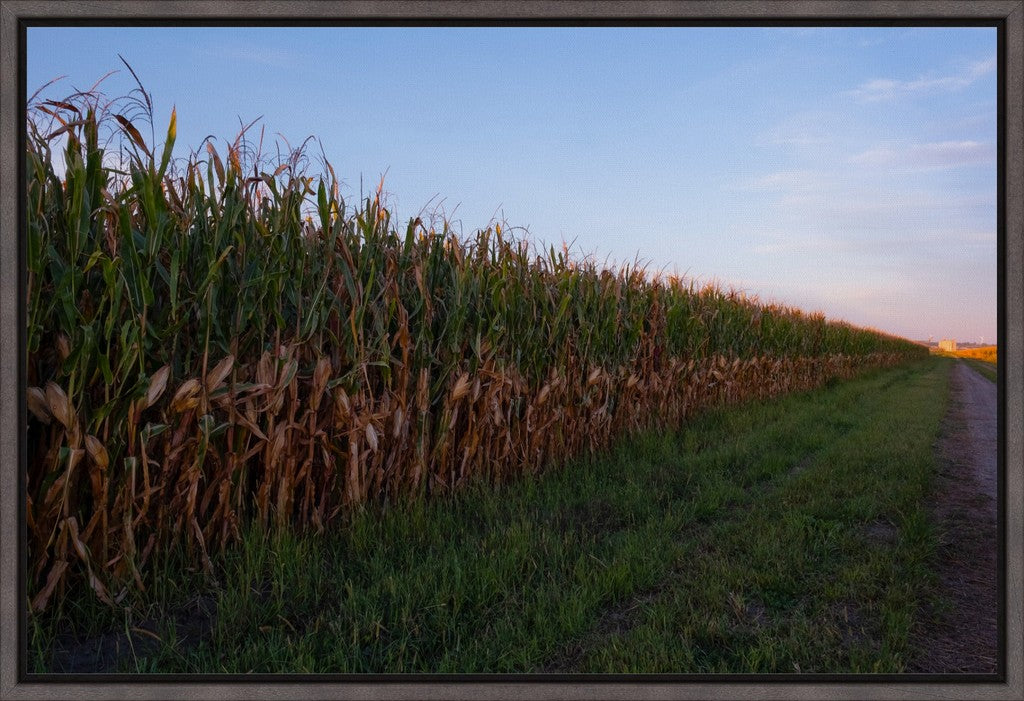Land of the Tall Corn II