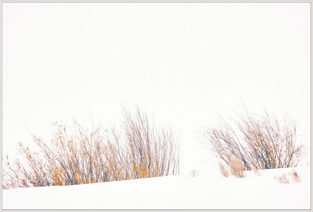 Fire & Snow