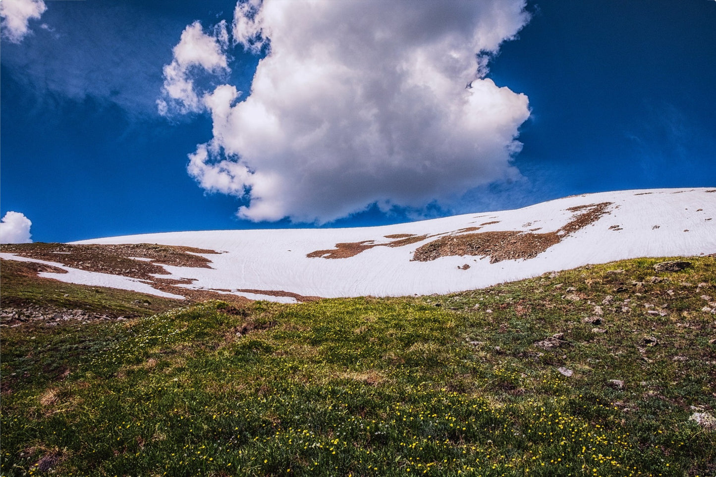 Summer Snow