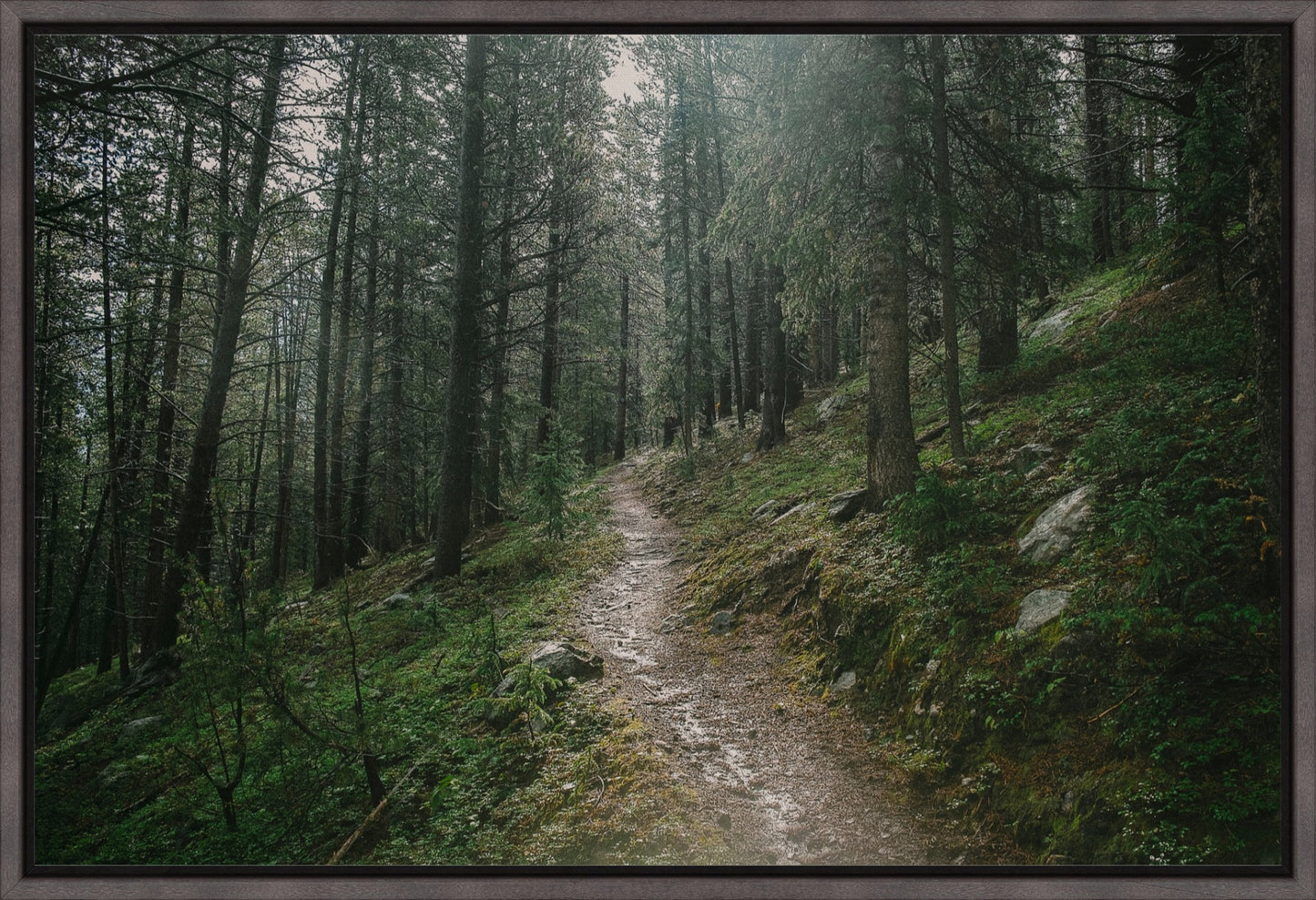 Deep Wilderness