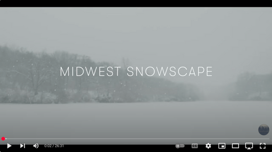 Midwest Snowscape