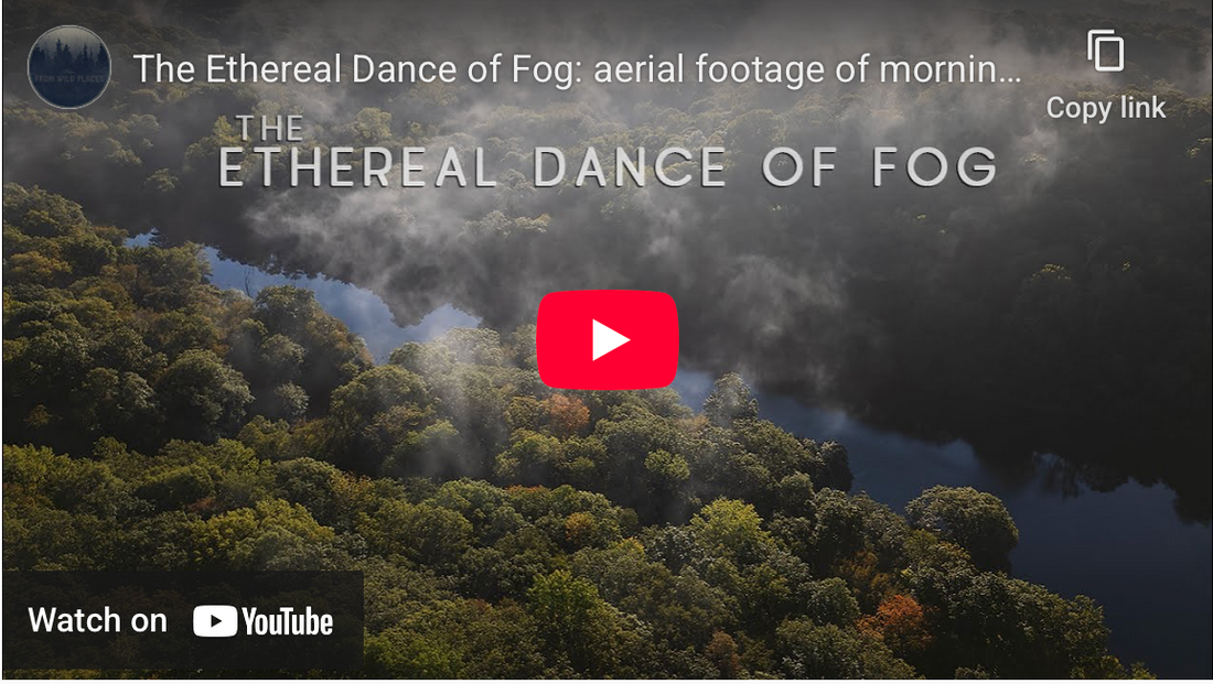 "The Ethereal Dance of Fog" and "Feather and Peal" - Two Ambient Nature Films