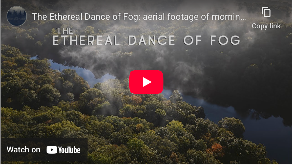 "The Ethereal Dance of Fog" and "Feather and Peal" - Two Ambient Nature Films