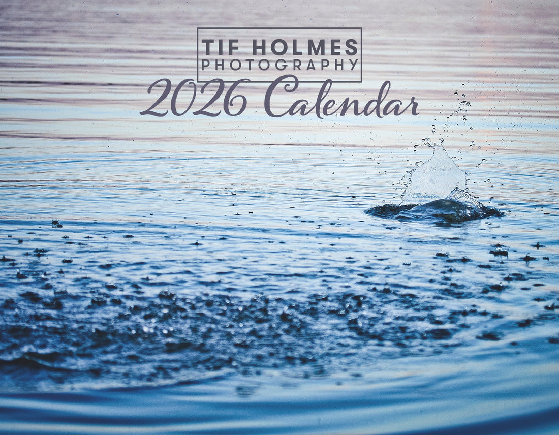 New Side Project + 2026 Nature Calendars Available to Pre-order
