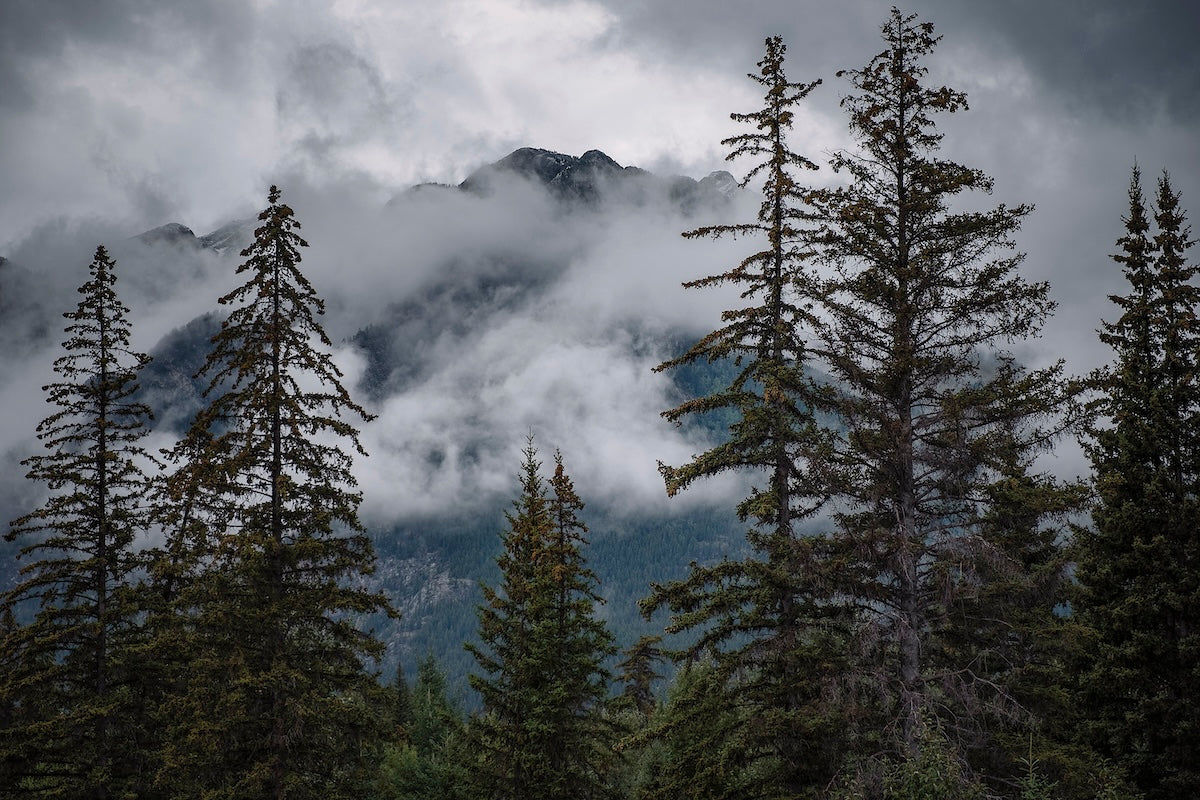 Canada