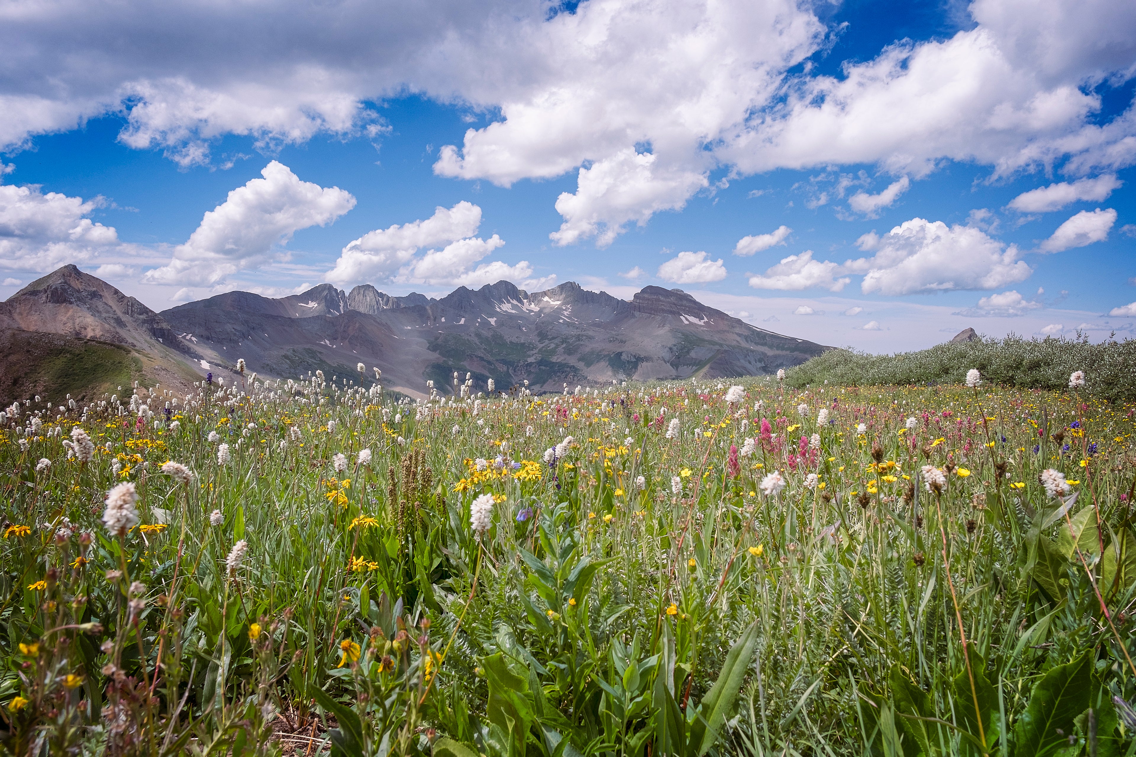 The Colorado Trail