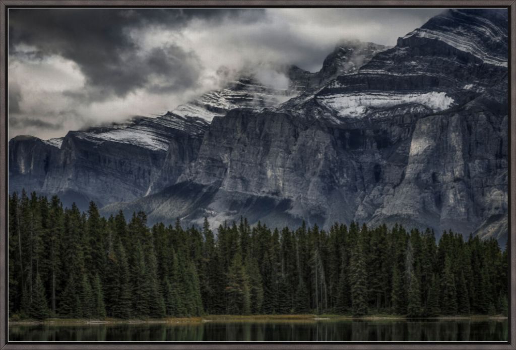 Green Forest and Mountain