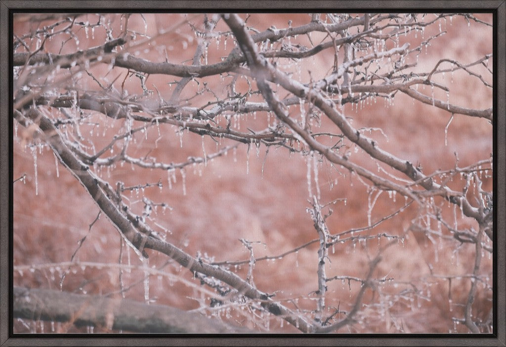 Midwest Winter Freeze