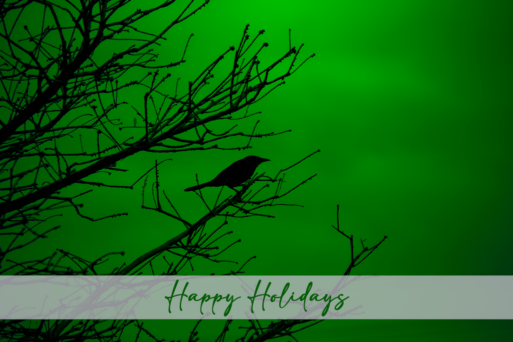 'Grackle Silhouette on Green' Holiday Greeting Cards (Set of 25)