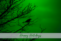 'Grackle Silhouette on Green' Holiday Greeting Cards (Set of 25)