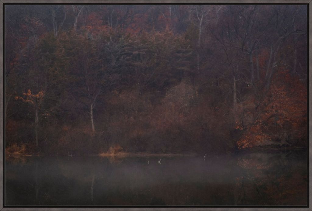 Foggy Winter Woods and Lake