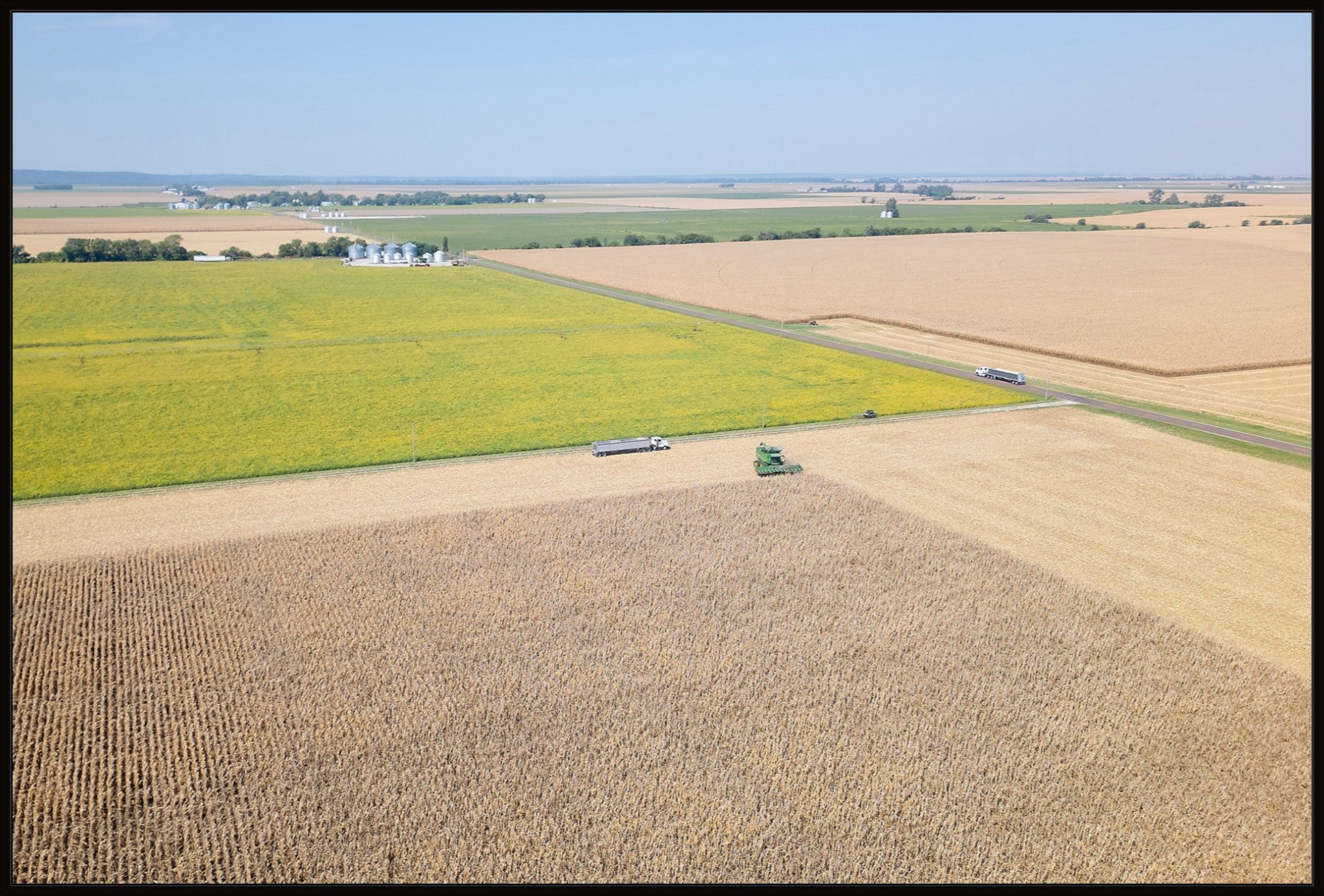 Corn Harvest: Geometric Patterns I
