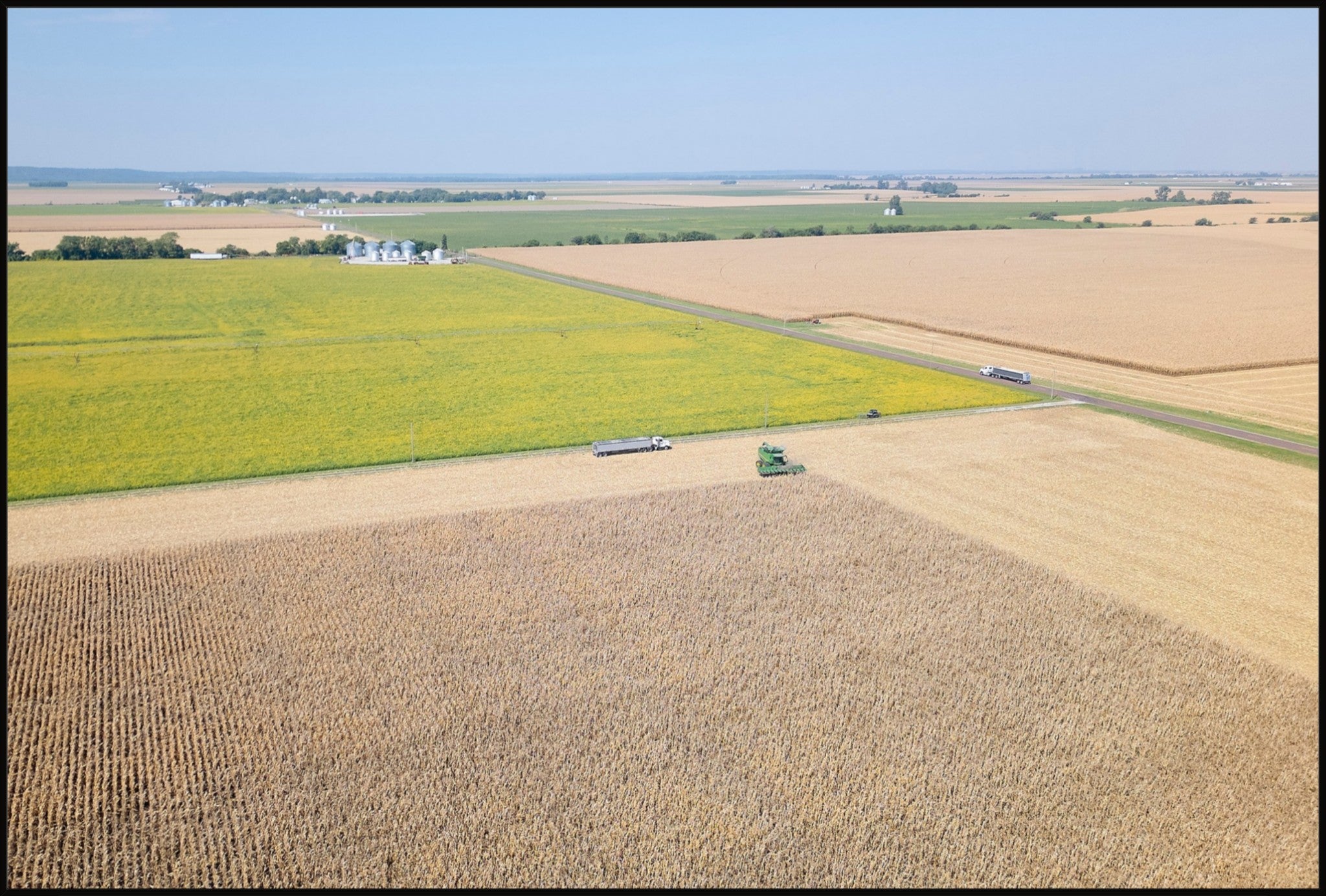 Corn Harvest: Geometric Patterns I