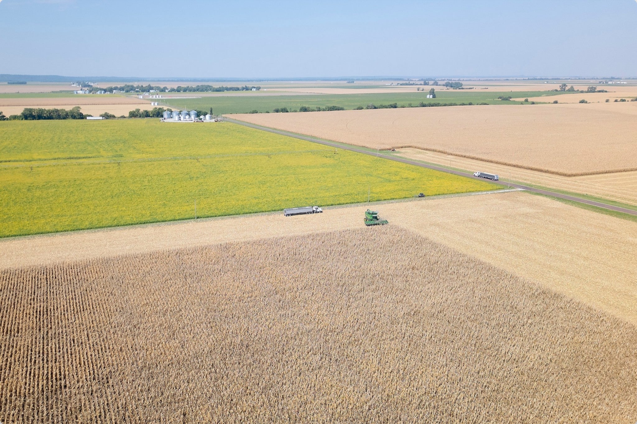 Corn Harvest: Geometric Patterns I