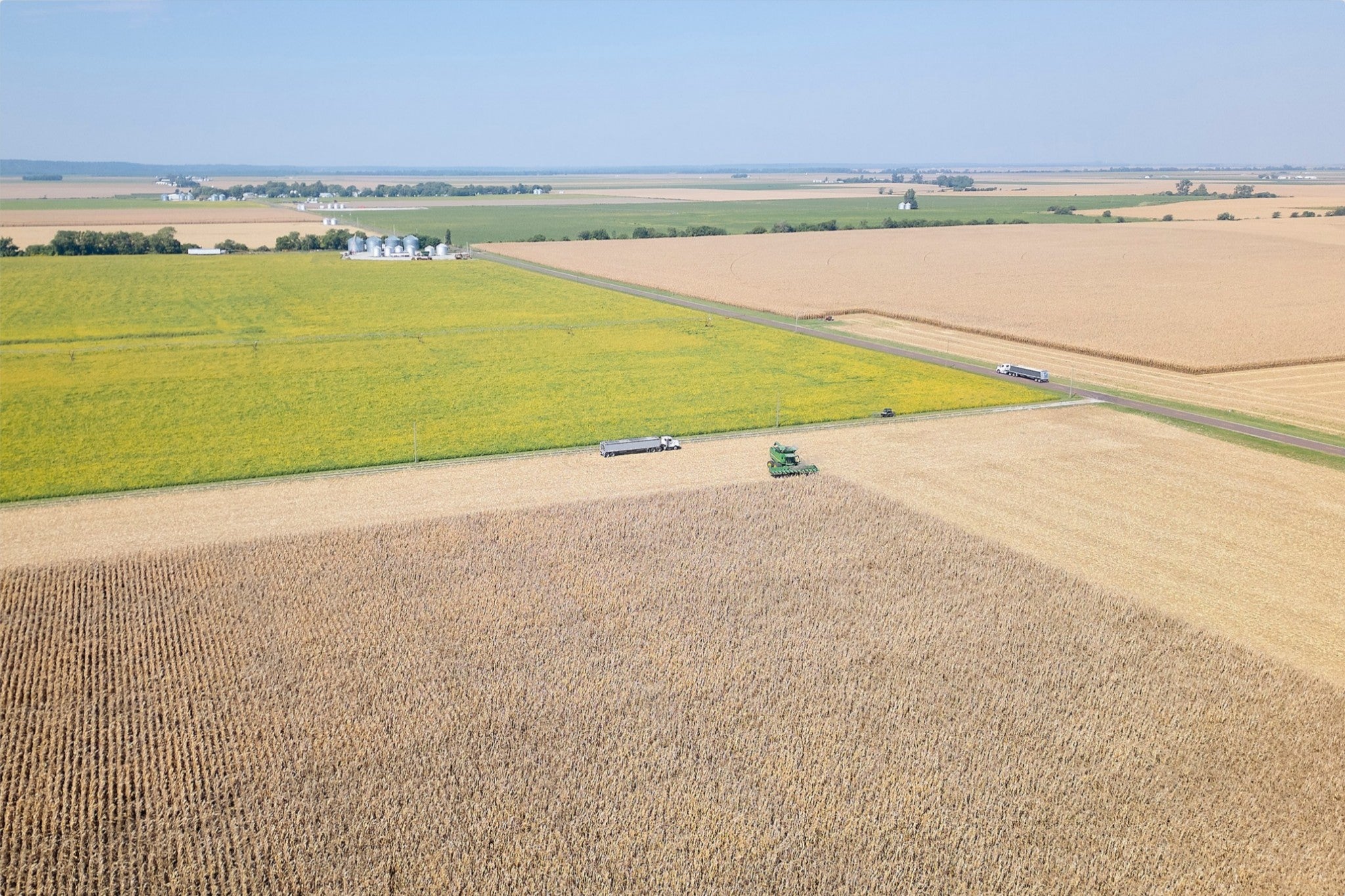 Corn Harvest: Geometric Patterns I