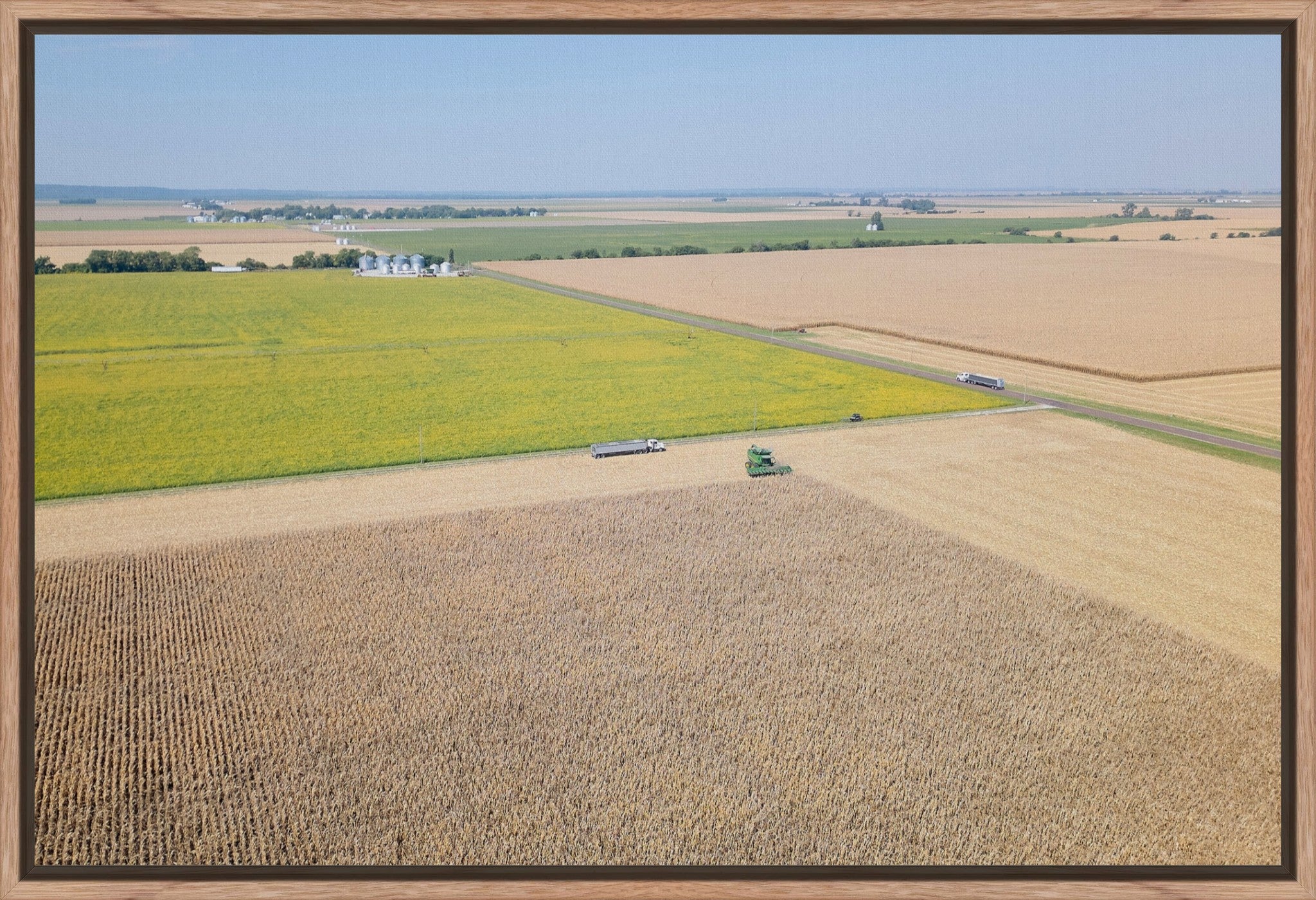 Corn Harvest: Geometric Patterns I