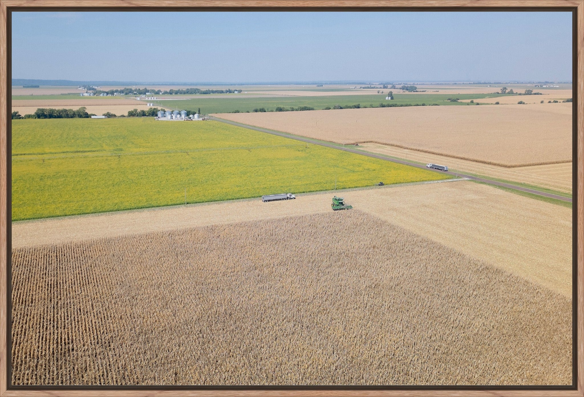 Corn Harvest: Geometric Patterns I