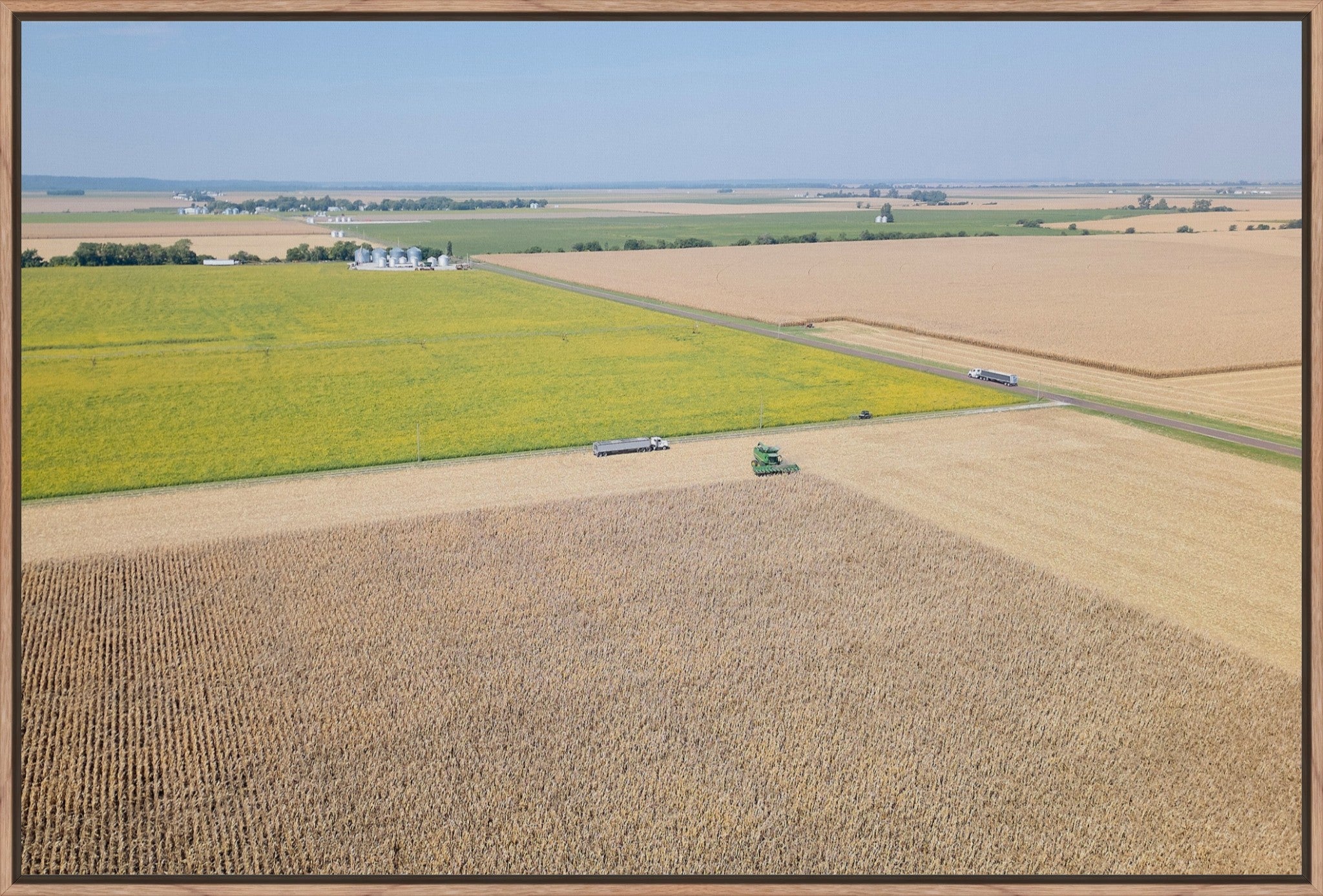 Corn Harvest: Geometric Patterns I