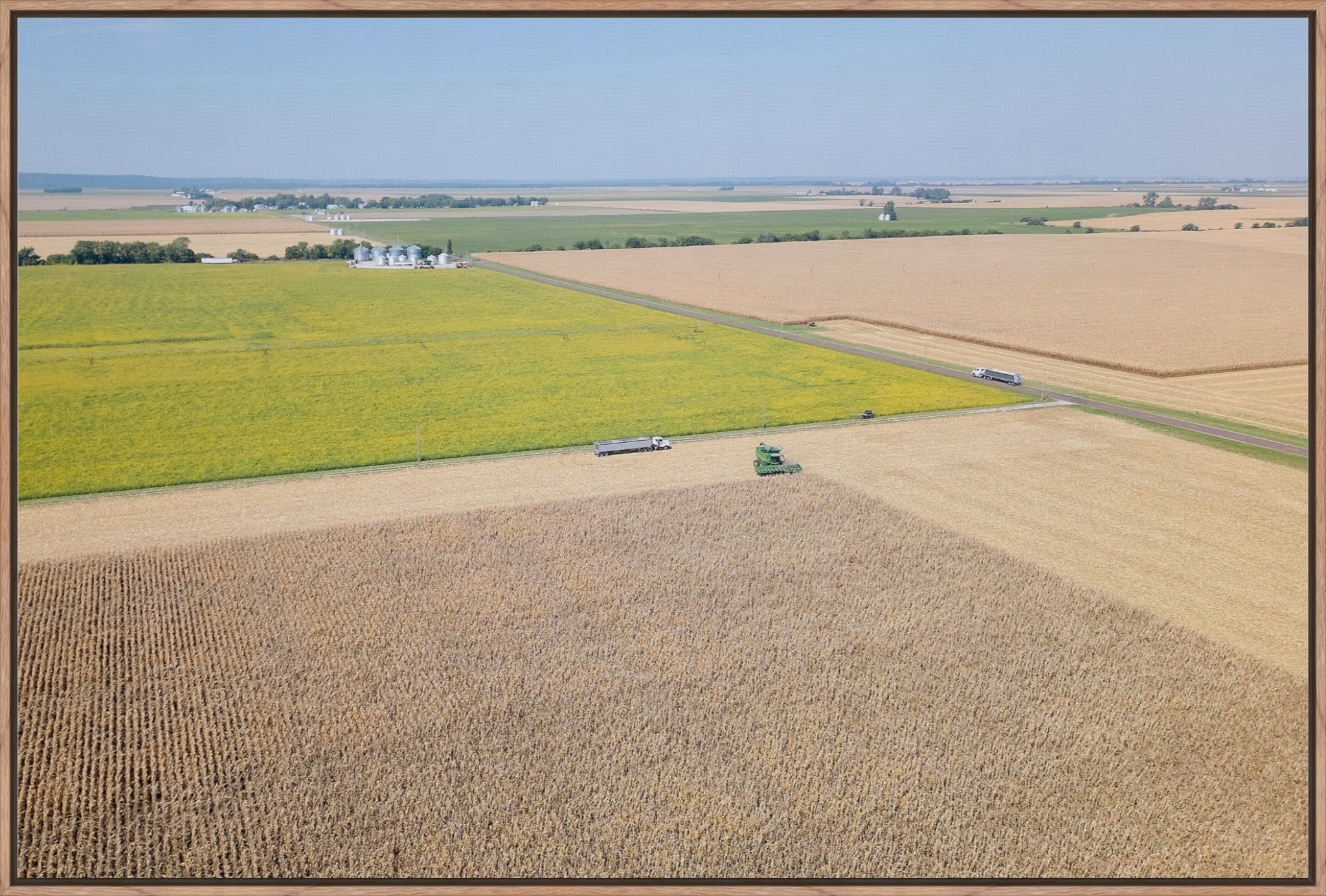Corn Harvest: Geometric Patterns I
