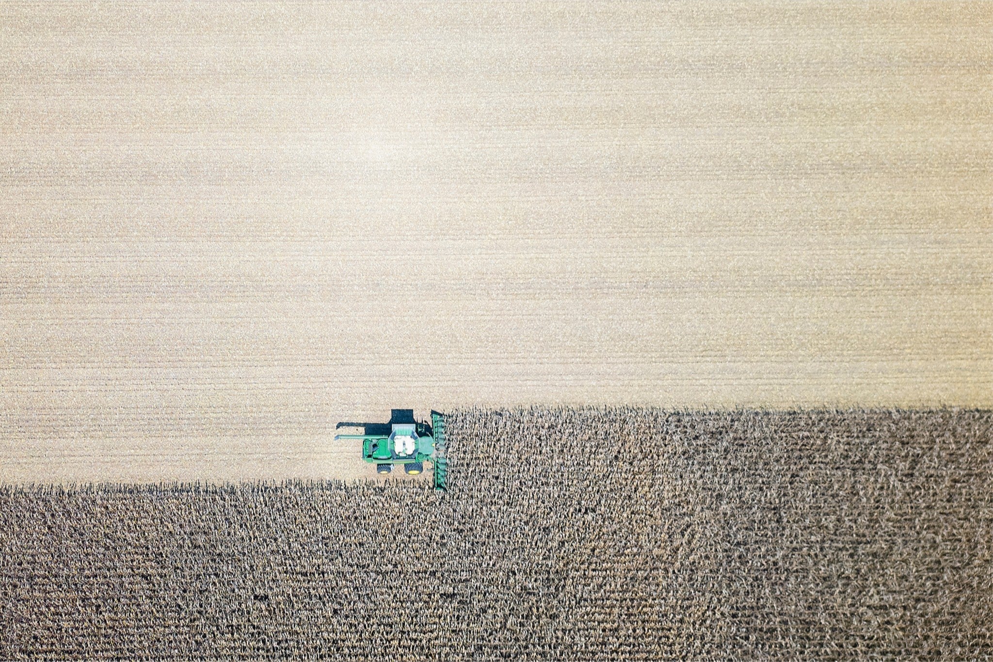Corn Harvest: Geometric Patterns II