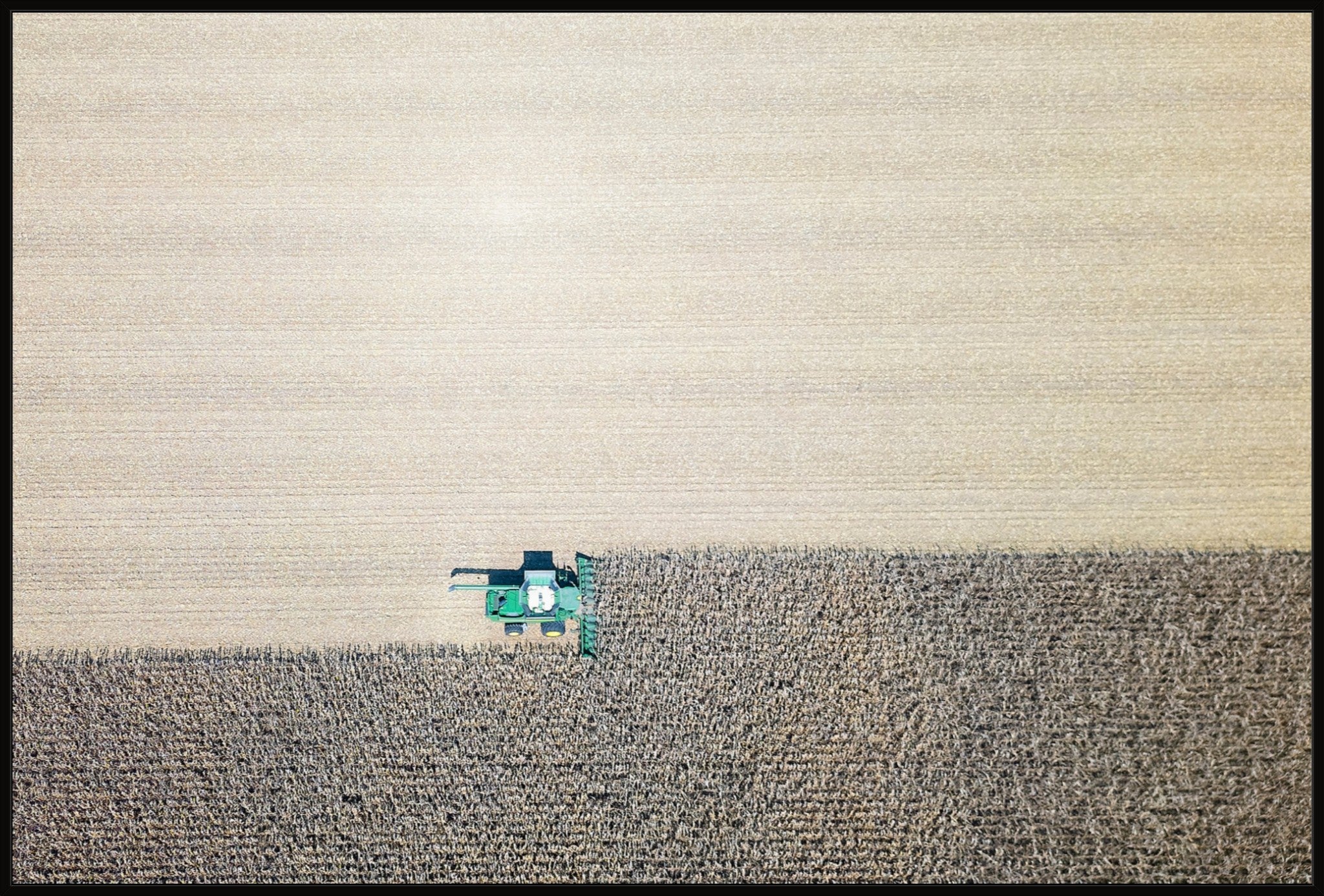 Corn Harvest: Geometric Patterns II