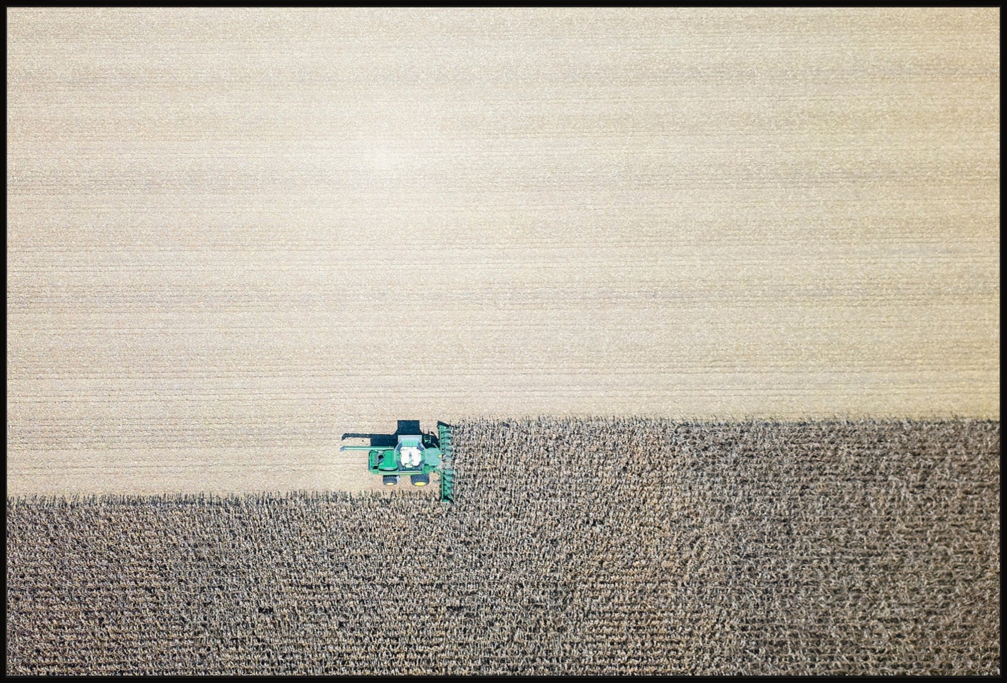 Corn Harvest: Geometric Patterns II