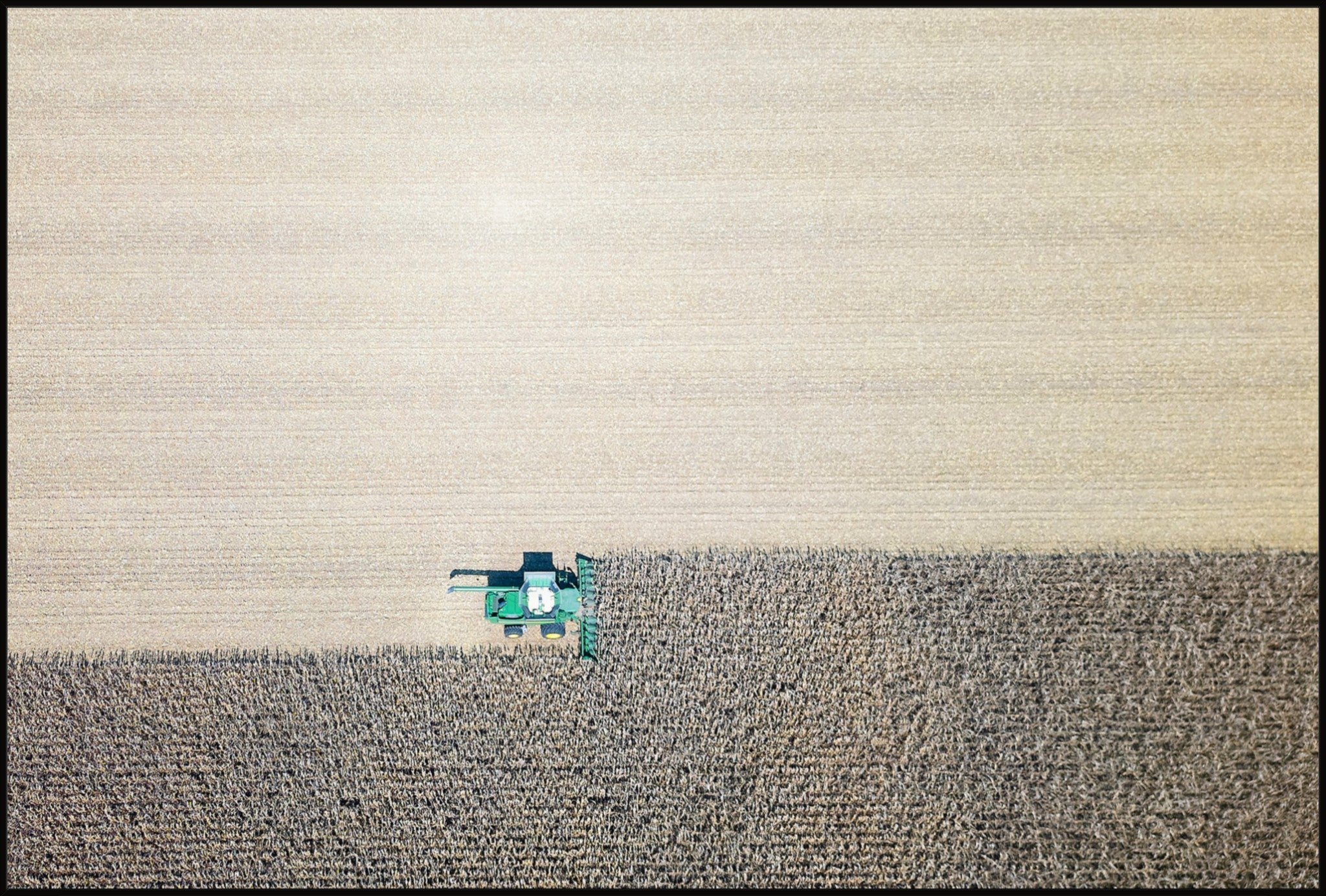 Corn Harvest: Geometric Patterns II