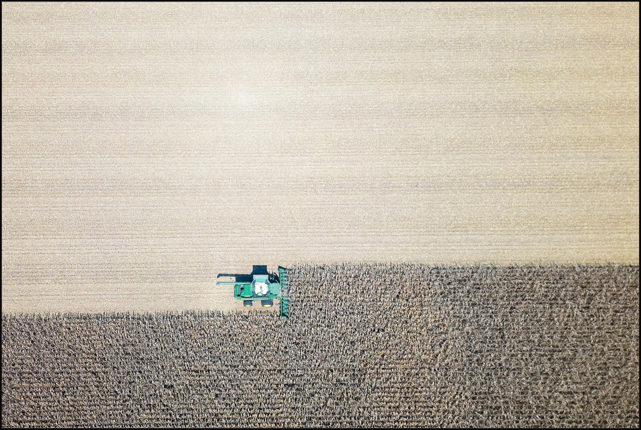 Corn Harvest: Geometric Patterns II