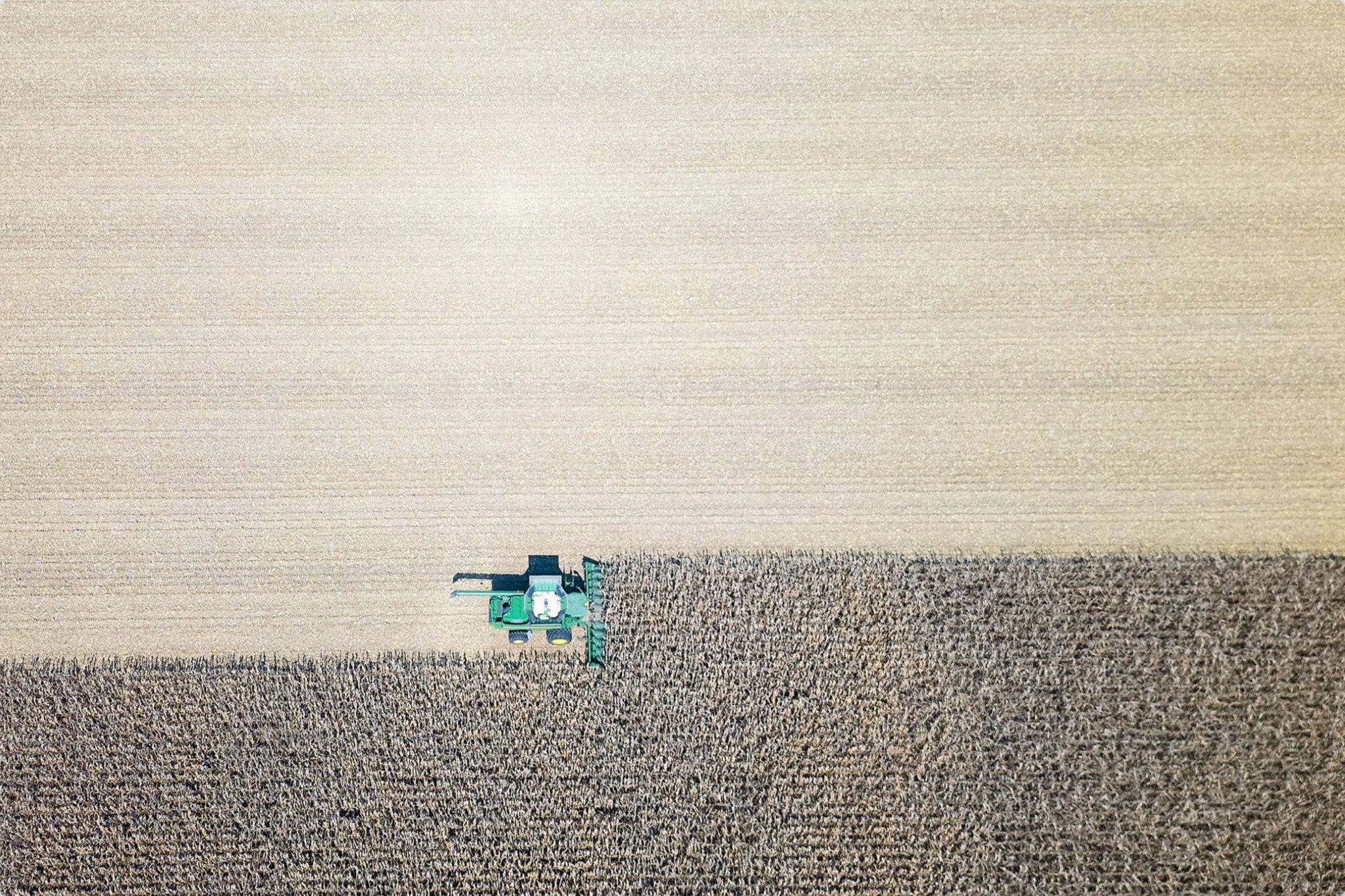 Corn Harvest: Geometric Patterns II