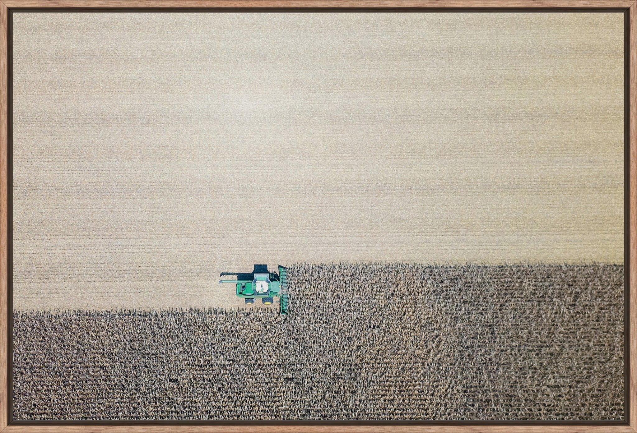 Corn Harvest: Geometric Patterns II