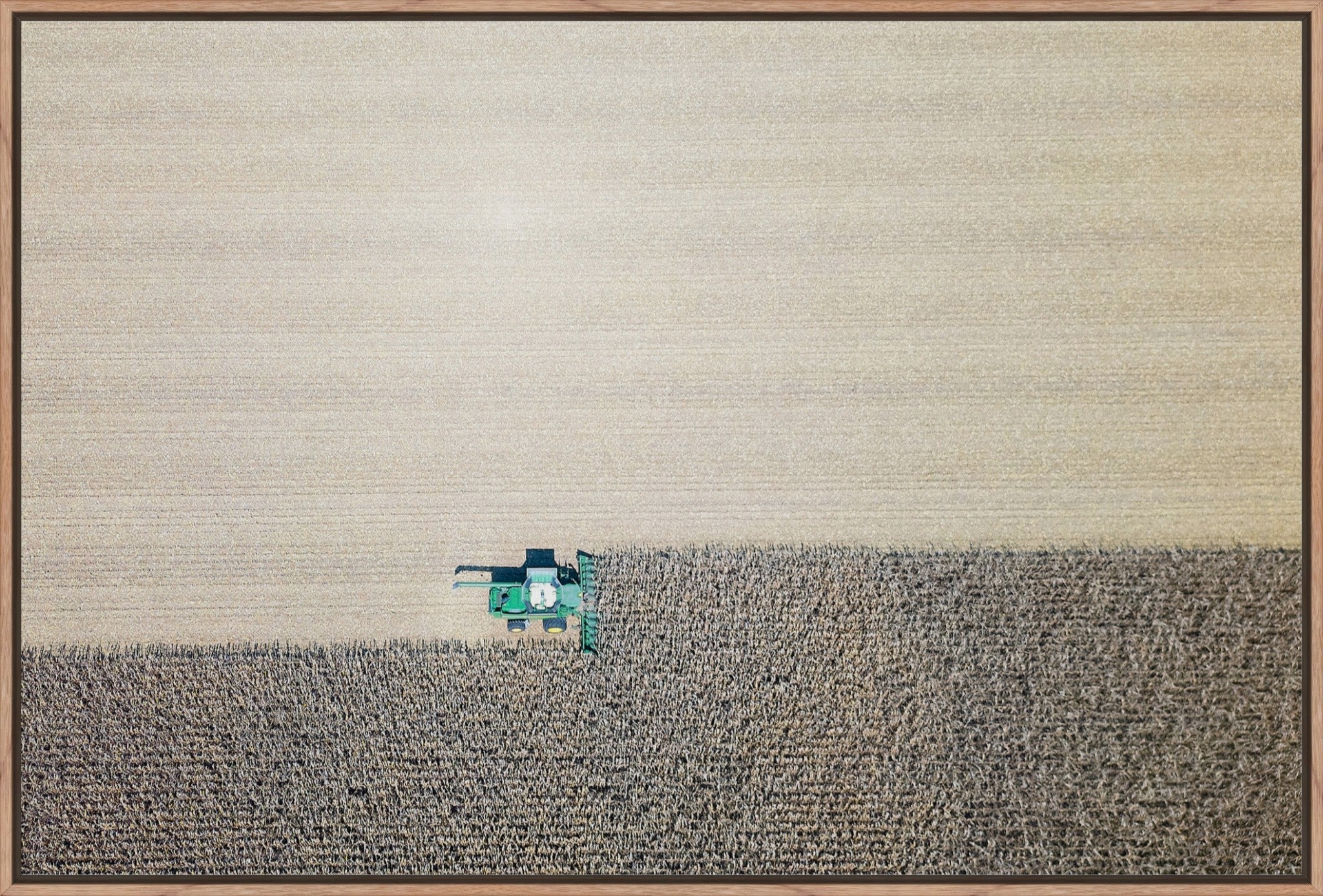 Corn Harvest: Geometric Patterns II